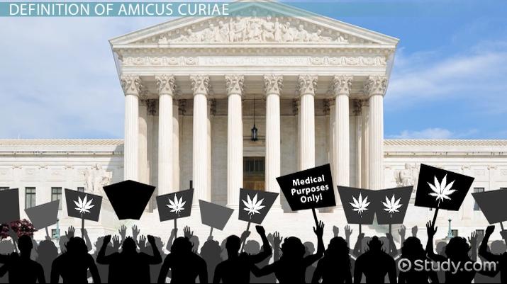 AMICUS CURIAE