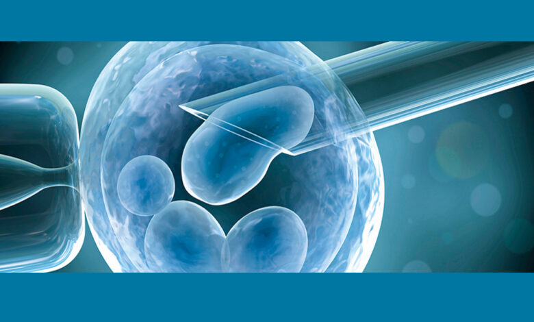 Photo of IVF Pregnancy Calculator: A Pathway to Parenthood
