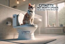 Photo of CitiKitty Net Worth Update: The Cat Toilet Training Revolution