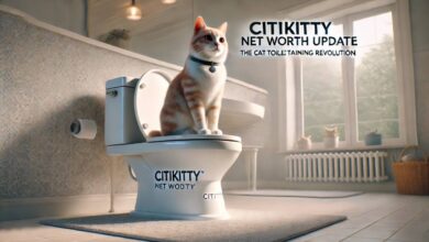 Photo of CitiKitty Net Worth Update: The Cat Toilet Training Revolution